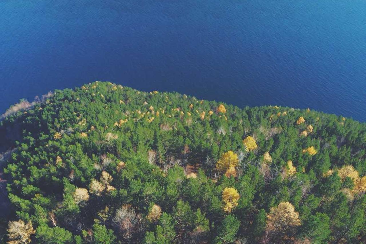 Et pariatur neque ut eum repellendus expedita